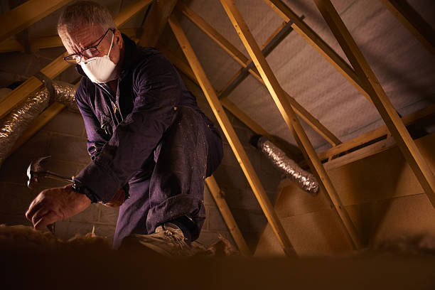 Best Insulation Maintenance and Repair in Buckeye, AZ